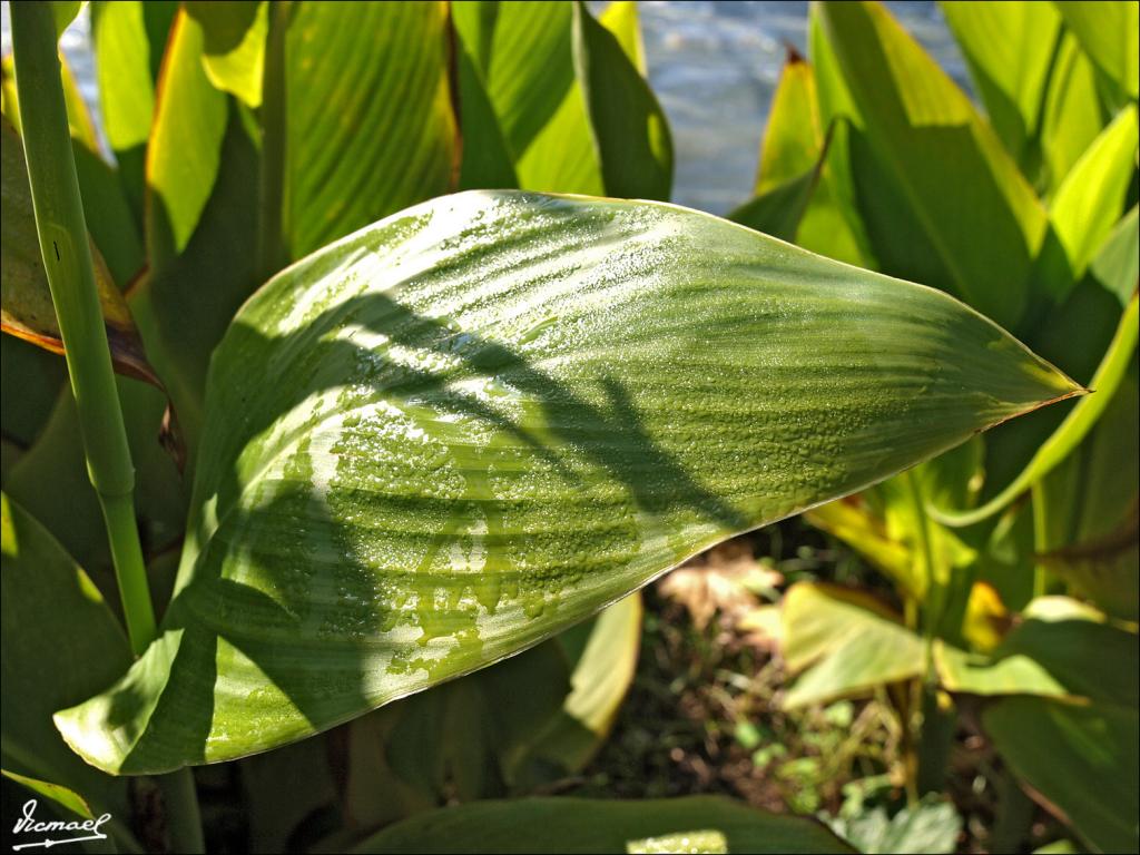 Foto de Zaragoza (Aragón), España