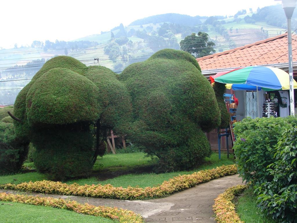 Foto de Alfaro Ruiz (Alajuela), Costa Rica