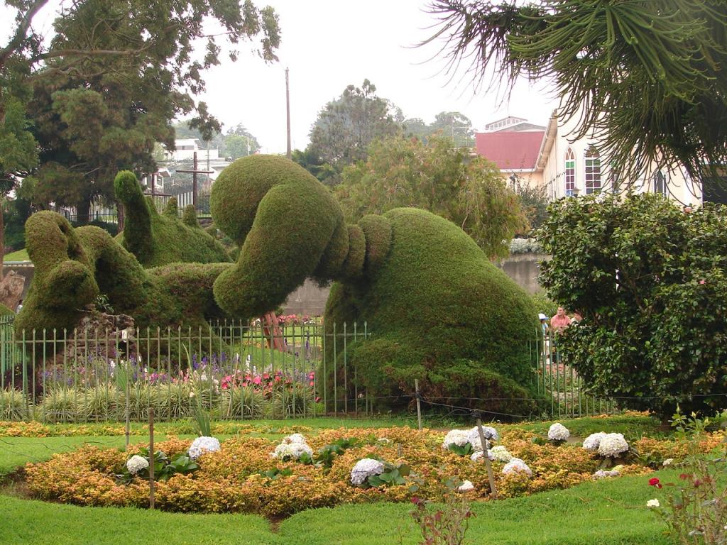 Foto de Alfaro Ruiz (Alajuela), Costa Rica