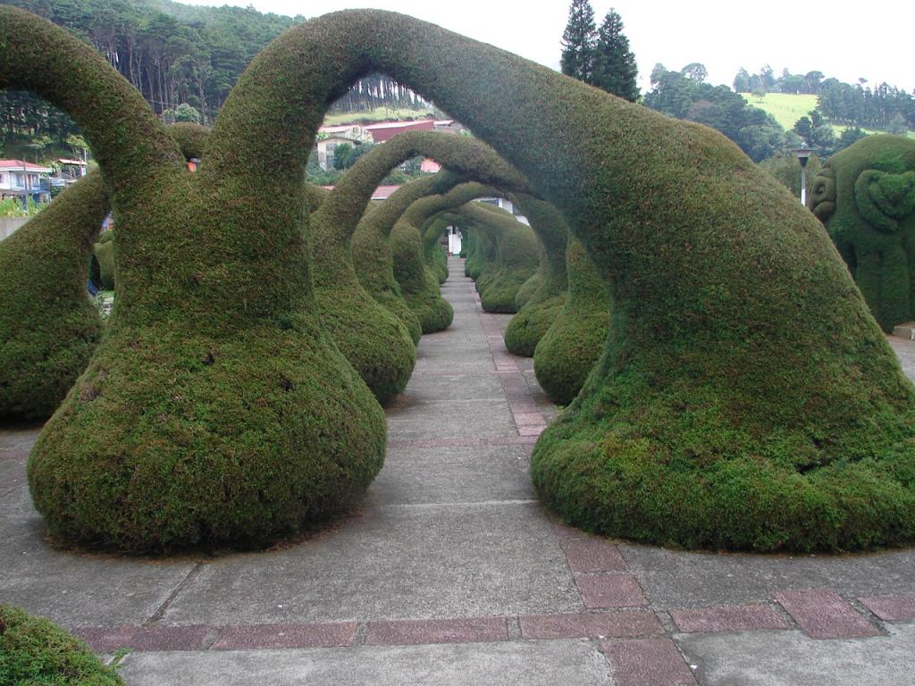 Foto de Alfaro Ruiz (Alajuela), Costa Rica