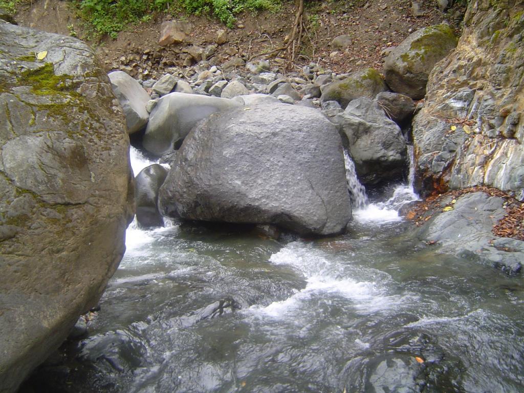 Foto de Montes de Oro (Puntarenas), Costa Rica