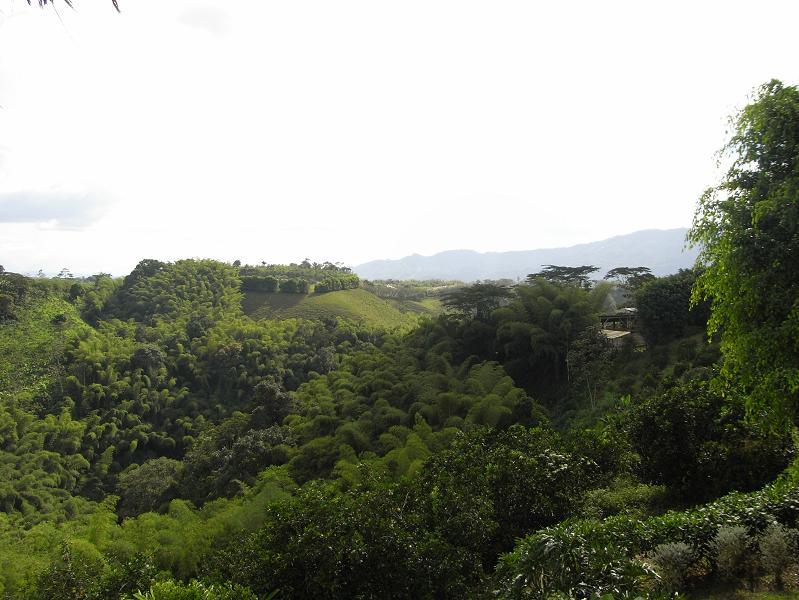 Foto de Montenegro, Colombia
