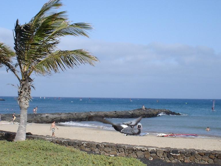 Foto de Lanzarote (Las Palmas), España