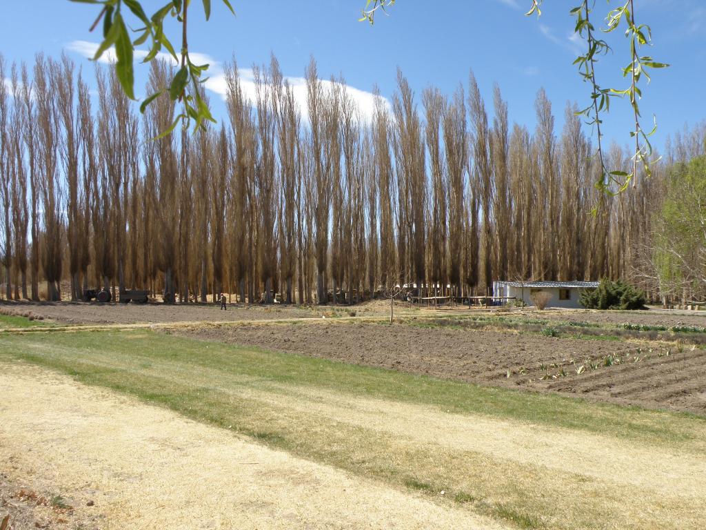 Foto de Rodeo (San Juan), Argentina
