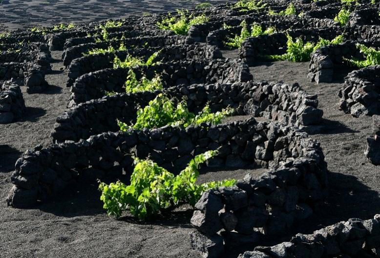 Foto de Lanzarote (Las Palmas), España