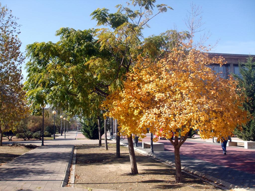 Foto de Albacete (Castilla La Mancha), España
