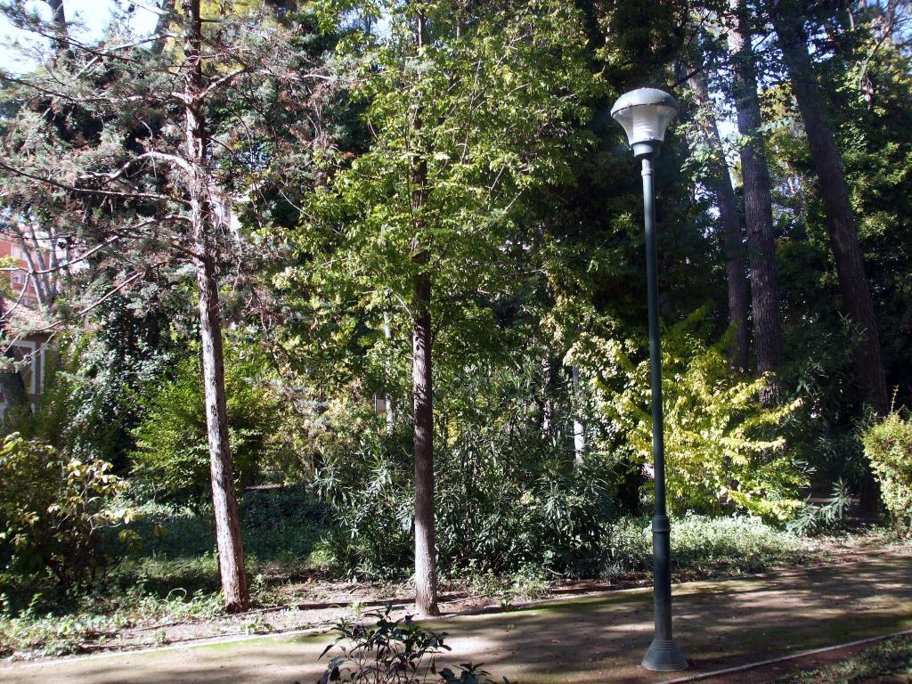 Foto de Albacete (Castilla La Mancha), España