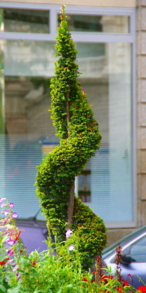 Foto de Vannes, Francia