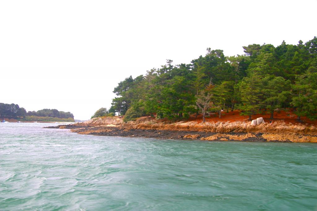 Foto de Vannes, Francia