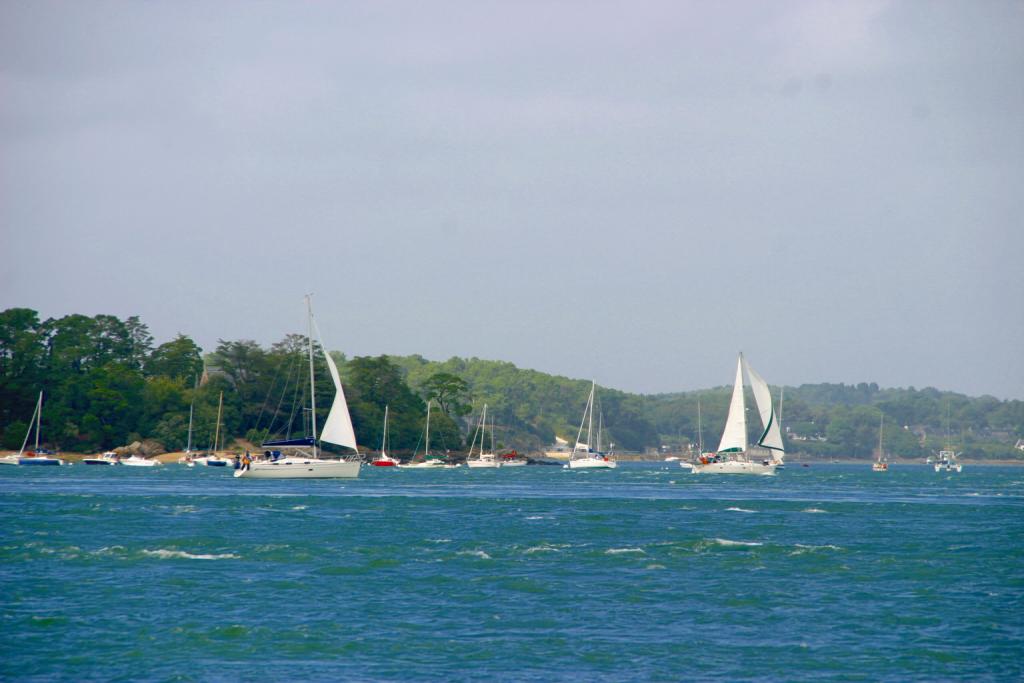 Foto de Vannes, Francia