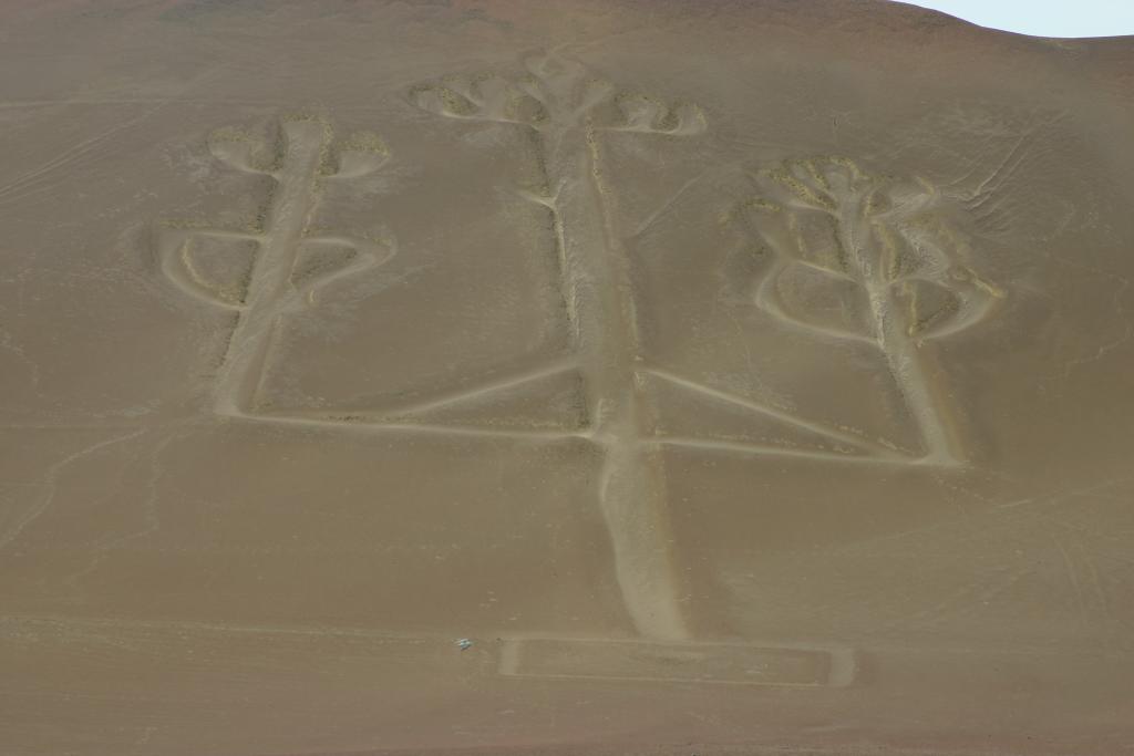 Foto de Paracas, Perú