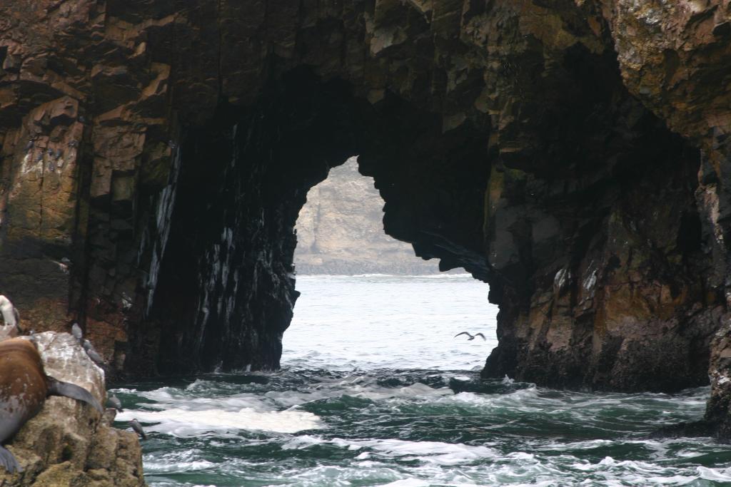 Foto de Paracas, Perú