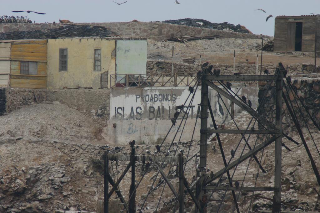 Foto de Paracas, Perú