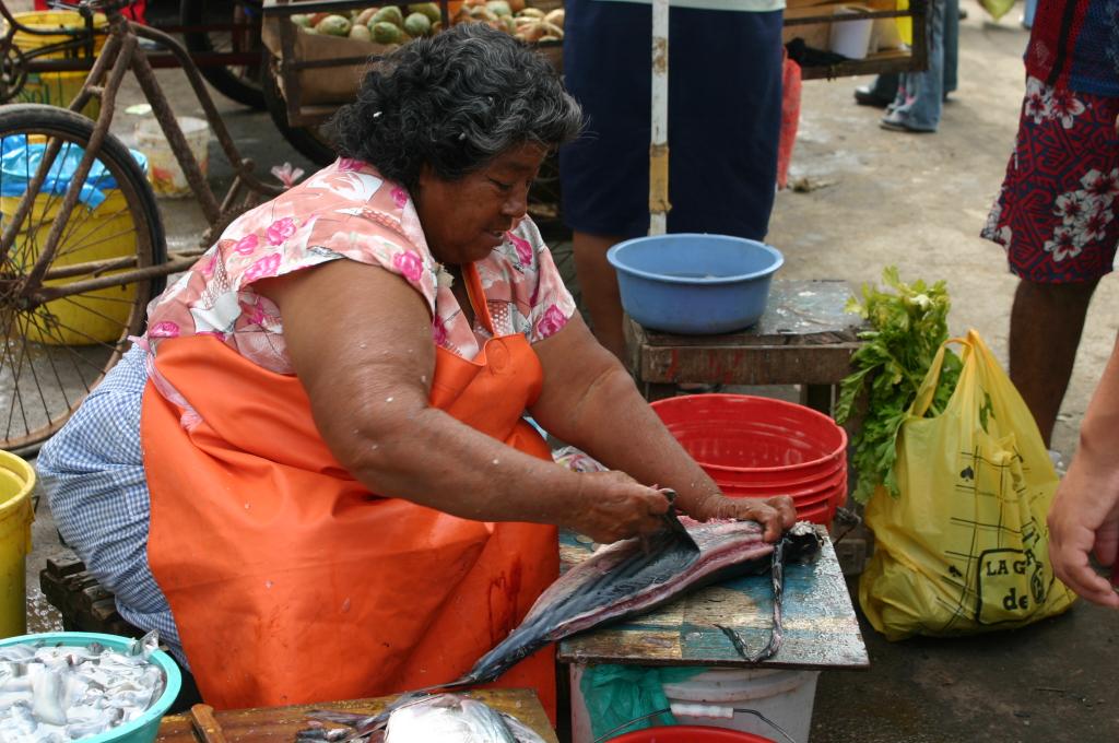 Foto de Pisco, Perú