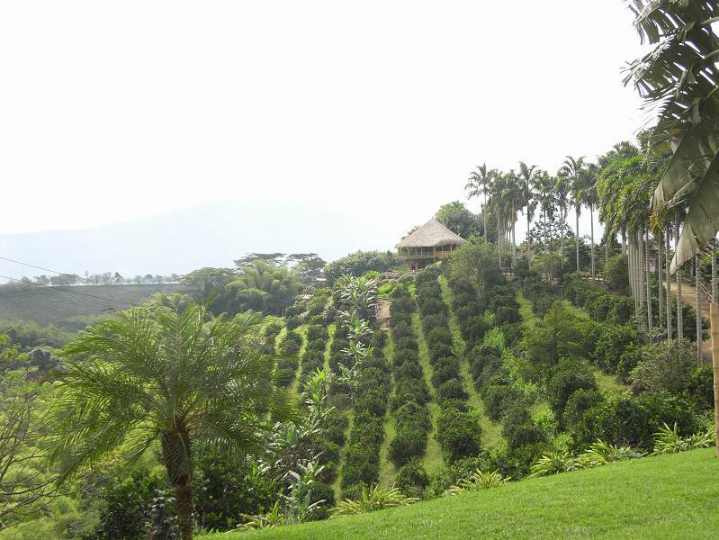 Foto de Quimbaya, Colombia