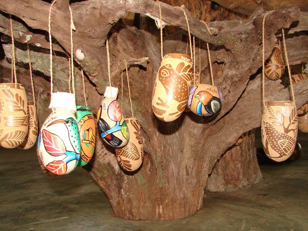 Foto de Guatuso (Alajuela), Costa Rica