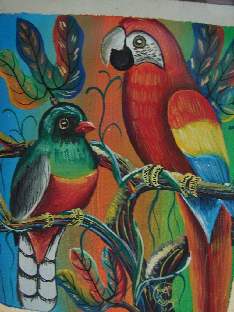 Foto de Guatuso (Alajuela), Costa Rica