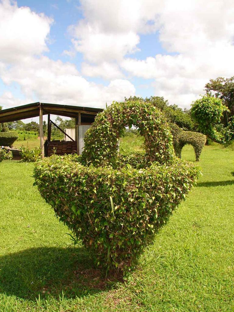 Foto de Guatuso (Alajuela), Costa Rica