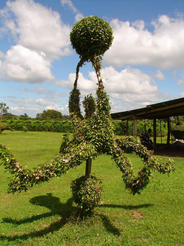 Foto de Guatuso (Alajuela), Costa Rica