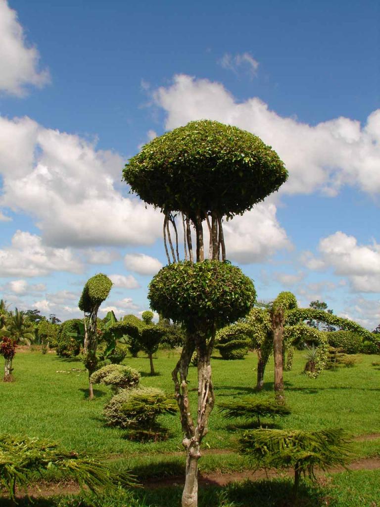 Foto de Guatuso (Alajuela), Costa Rica
