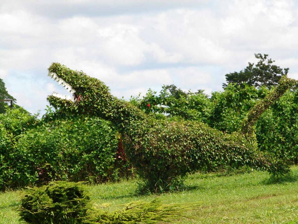 Foto de Guatuso (Alajuela), Costa Rica