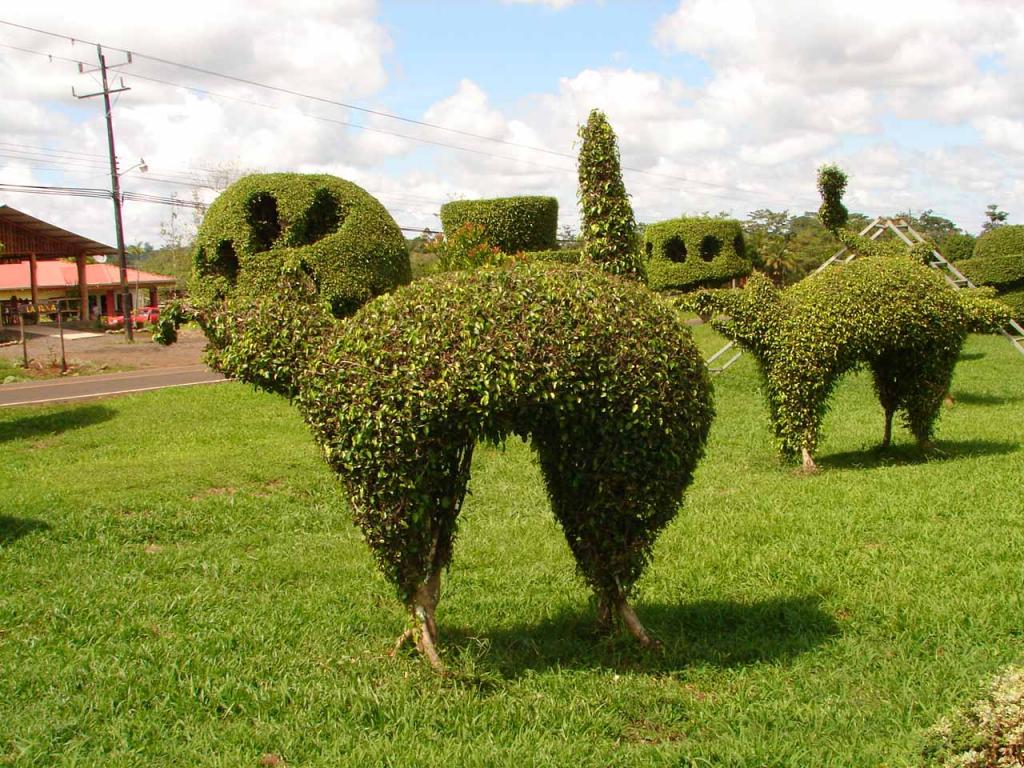 Foto de Guatuso (Alajuela), Costa Rica