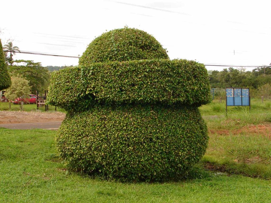 Foto de Guatuso (Alajuela), Costa Rica