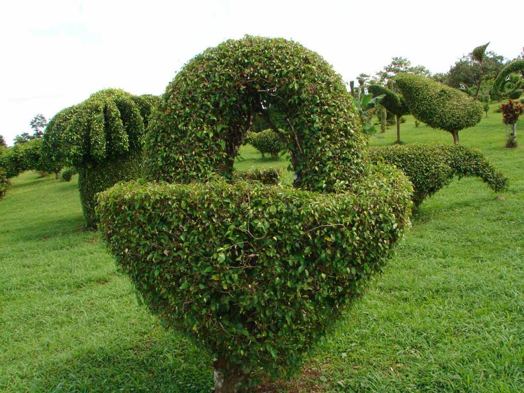 Foto de Guatuso (Alajuela), Costa Rica