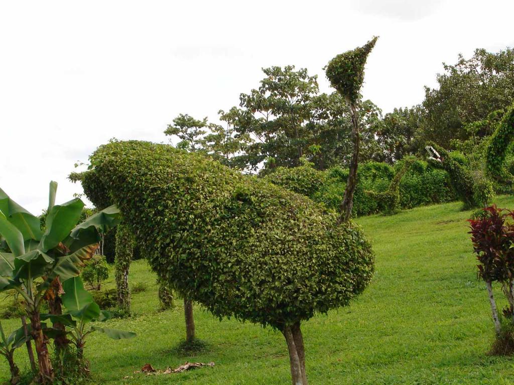 Foto de Guatuso (Alajuela), Costa Rica