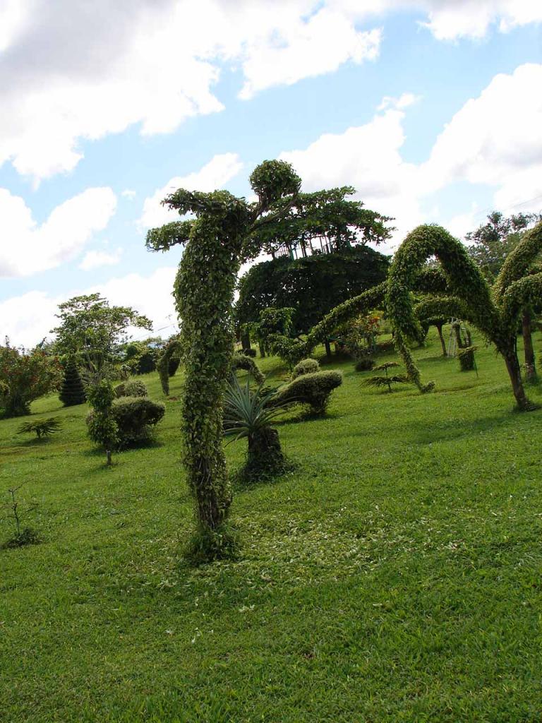 Foto de Guatuso (Alajuela), Costa Rica