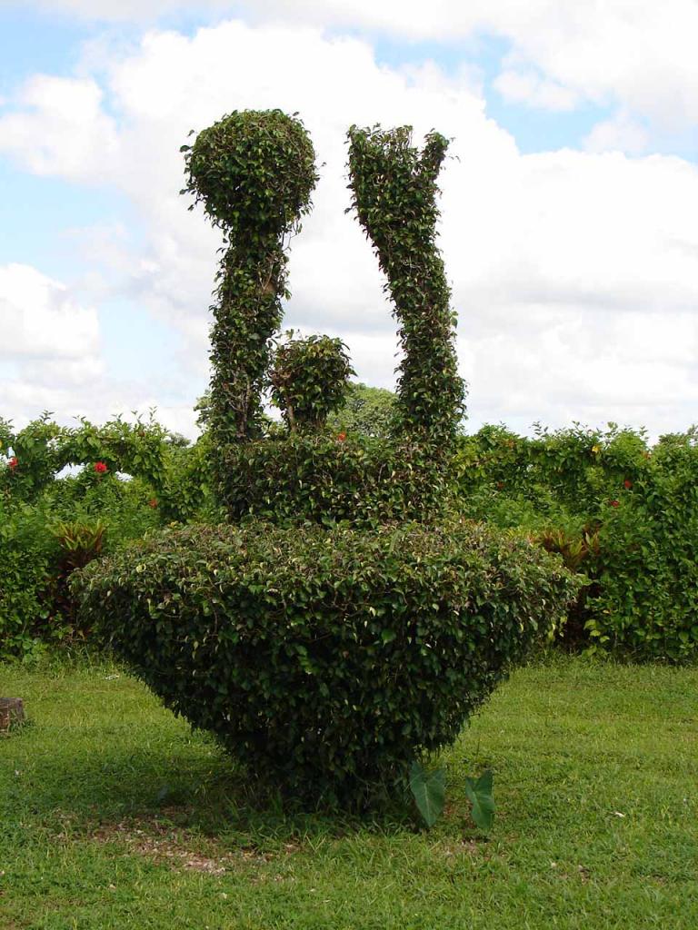 Foto de Guatuso (Alajuela), Costa Rica