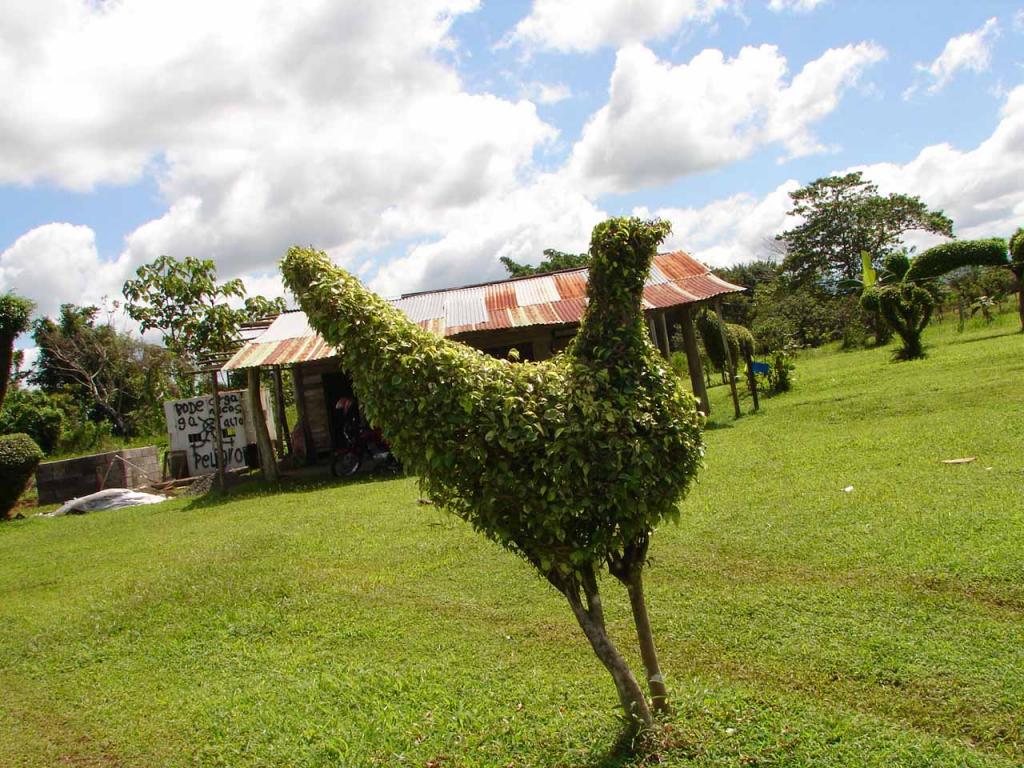 Foto de Guatuso (Alajuela), Costa Rica