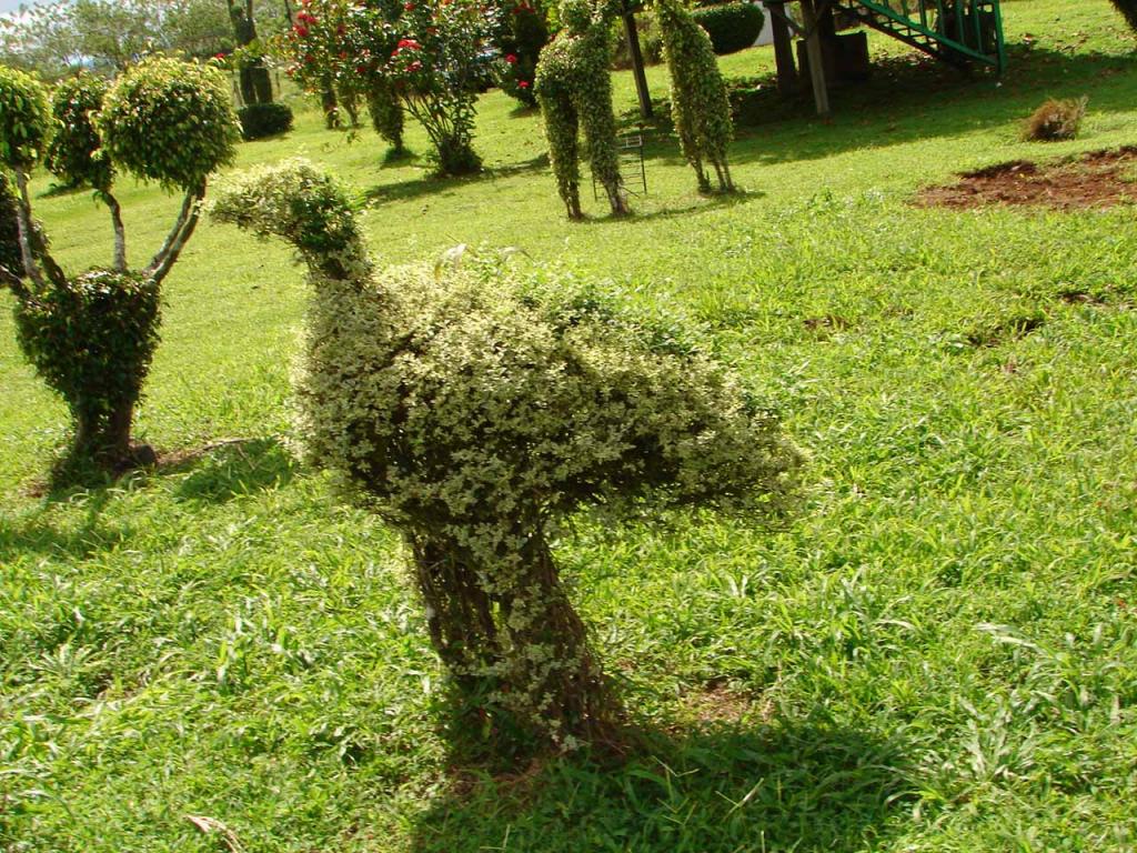 Foto de Guatuso (Alajuela), Costa Rica