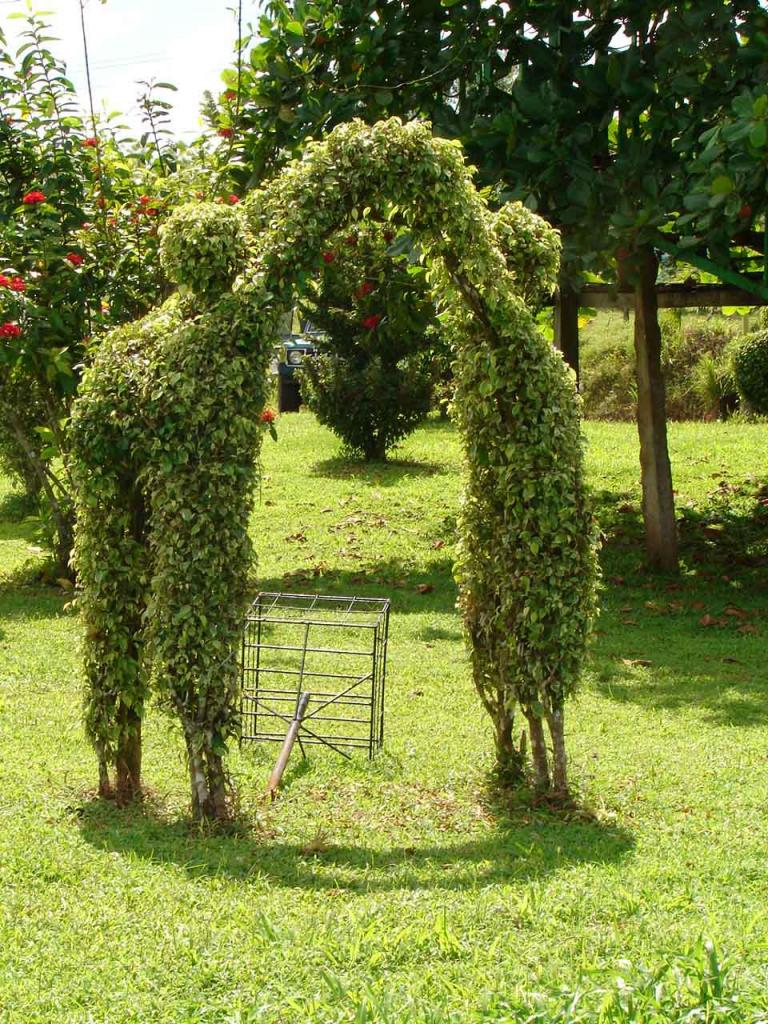 Foto de Guatuso (Alajuela), Costa Rica