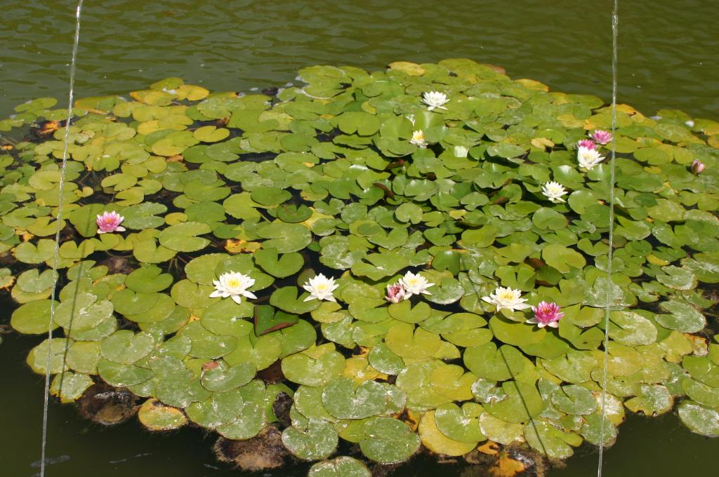 Foto de Córdoba (Andalucía), España