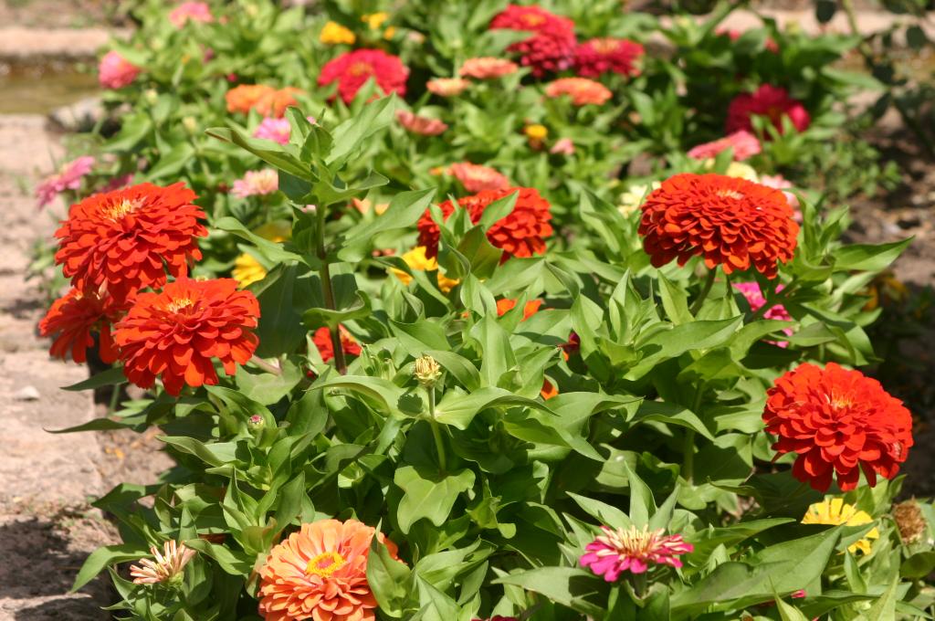 Foto de Córdoba (Andalucía), España