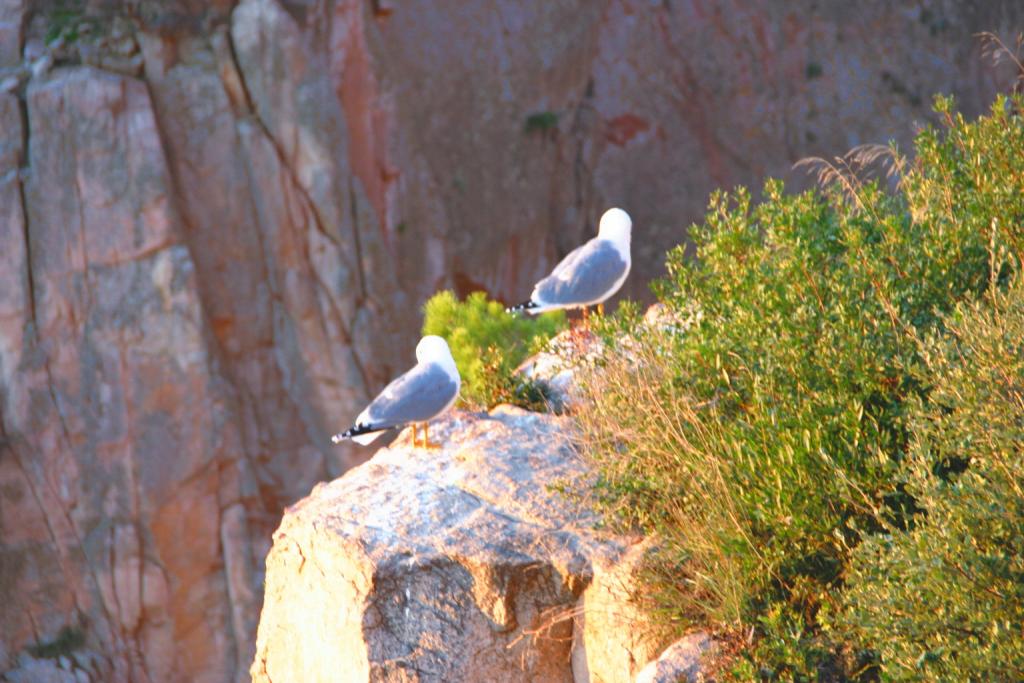 Foto de Aiguablava (Girona), España