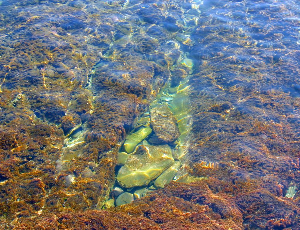 Foto de Cadaqués (Girona), España