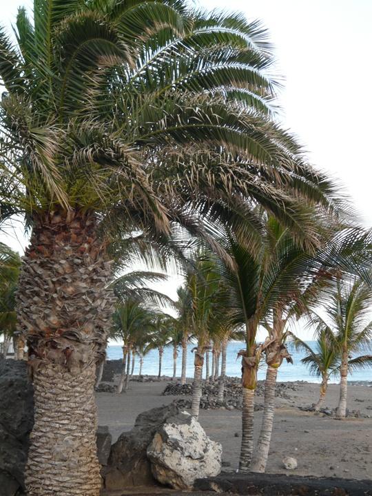 Foto de Lanzarote (Las Palmas), España
