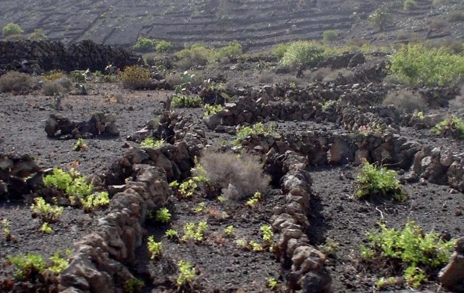 Foto de Lanzarote (Las Palmas), España
