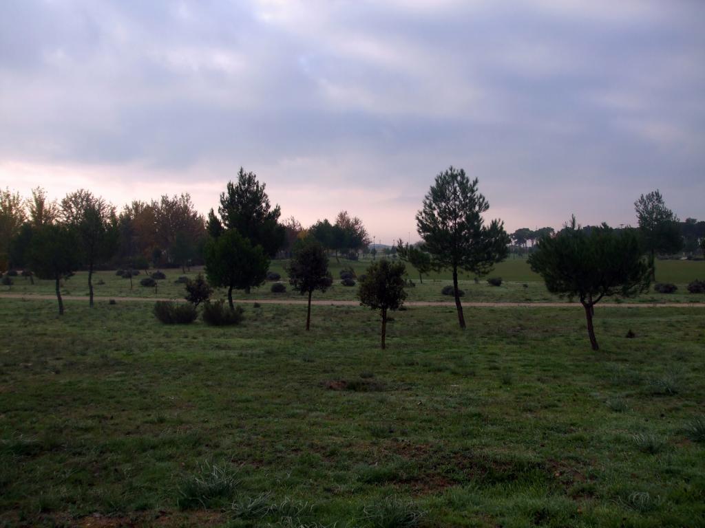Foto de Albacete (Castilla La Mancha), España