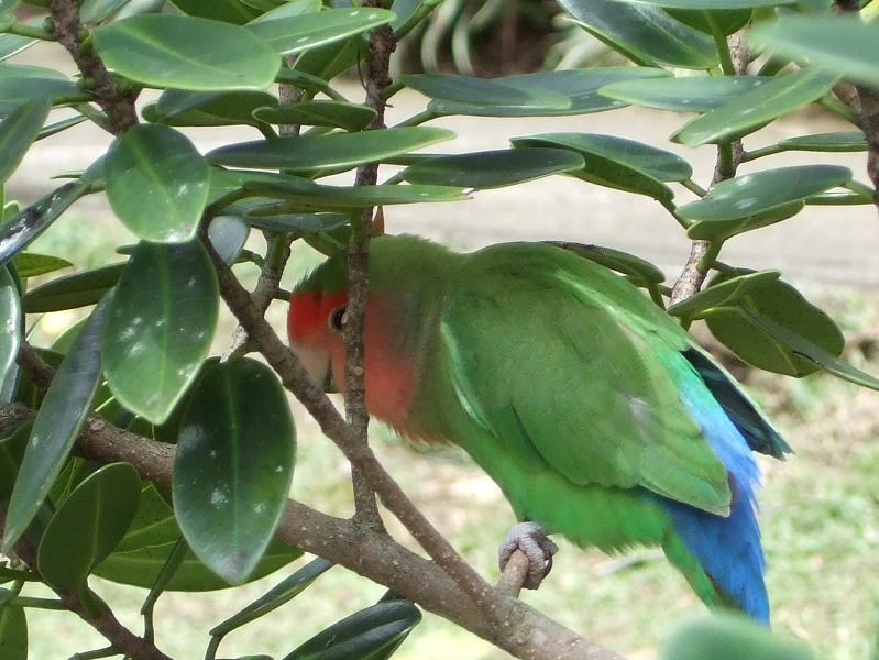 Foto de Rionegro, Colombia