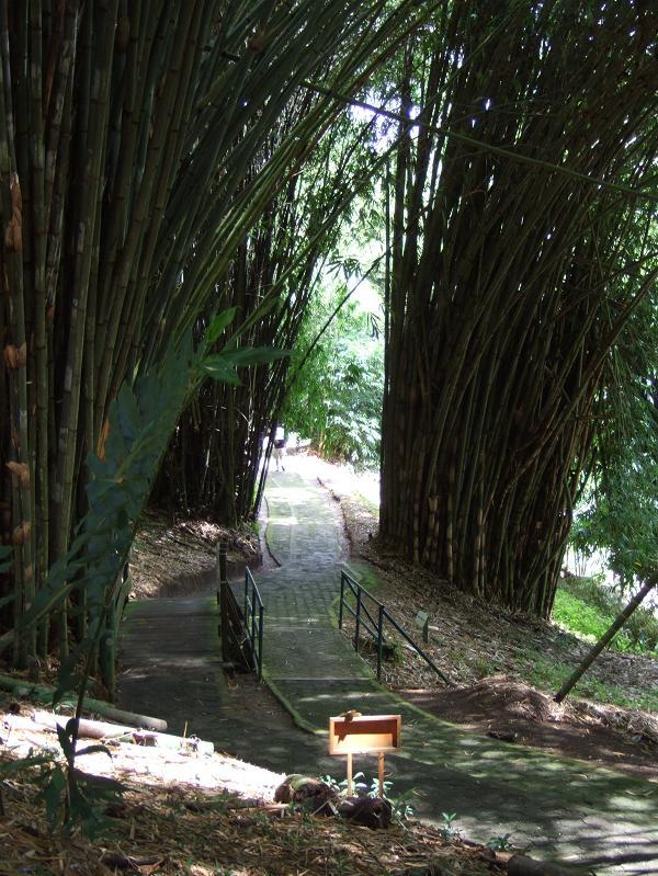 Foto de Rionegro, Colombia