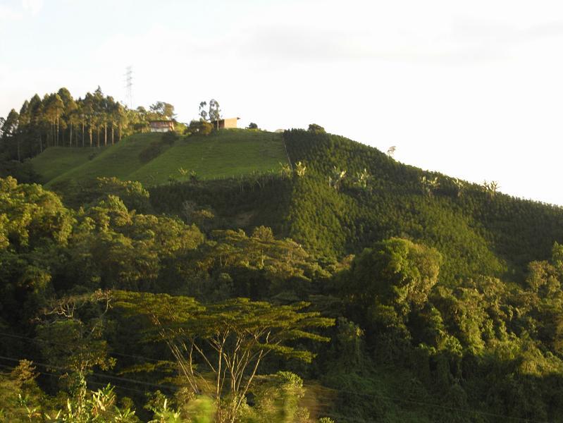 Foto de Salento, Colombia