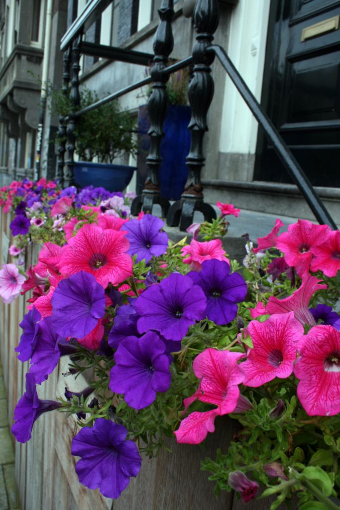 Foto de Amsterdan, Países Bajos