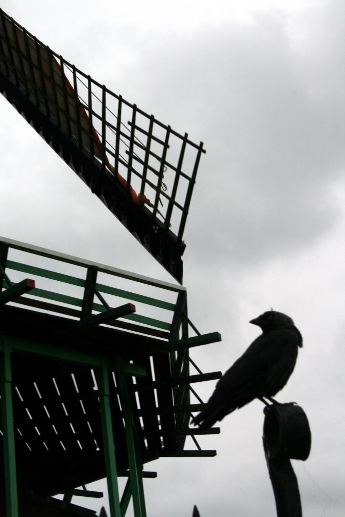 Foto de Amsterdan, Países Bajos