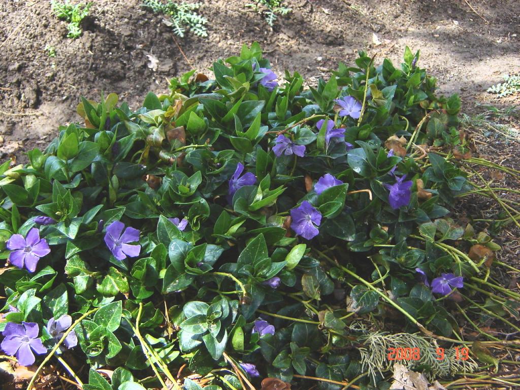 Foto de Iglesia (San Juan), Argentina