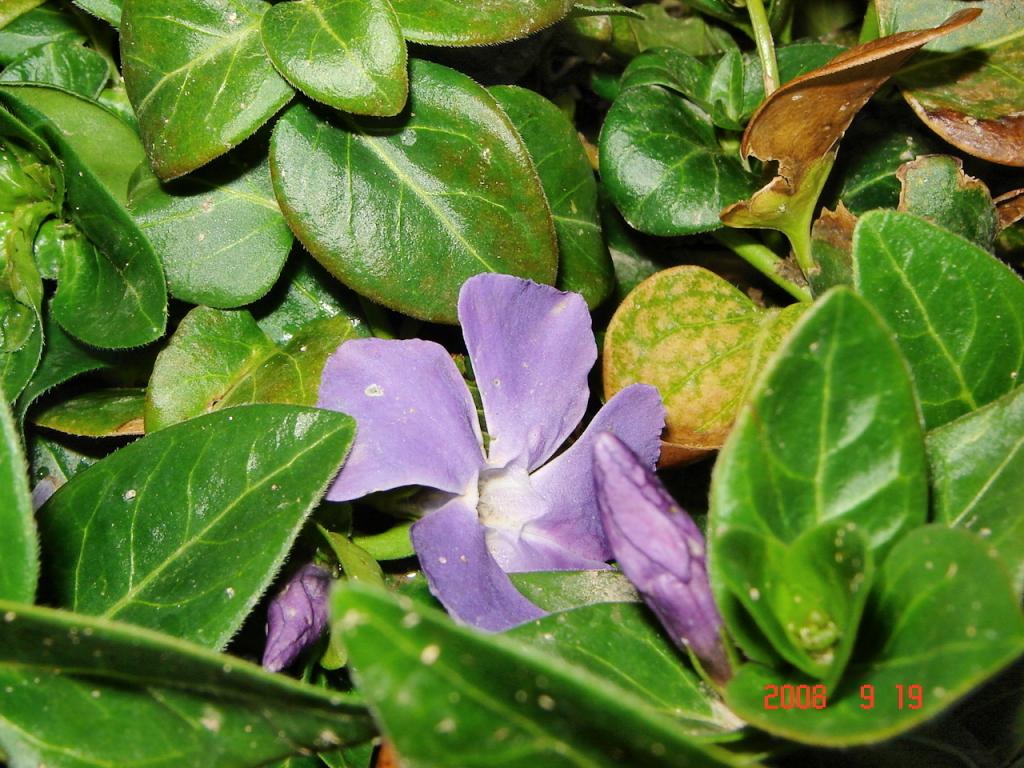 Foto de Iglesia (San Juan), Argentina