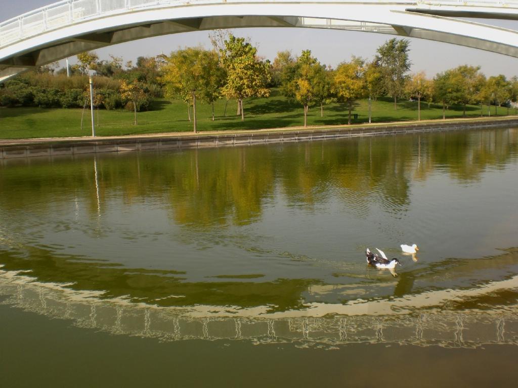 Foto de Madrid (Comunidad de Madrid), España