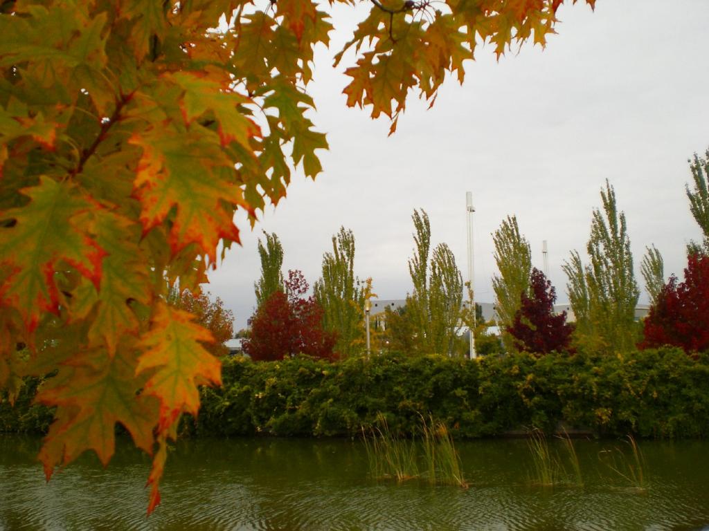 Foto de Madrid (Comunidad de Madrid), España